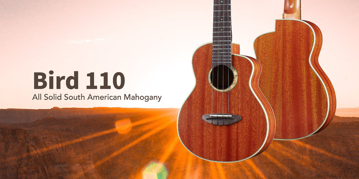 aNueNue South American Mahogany Bird 110
