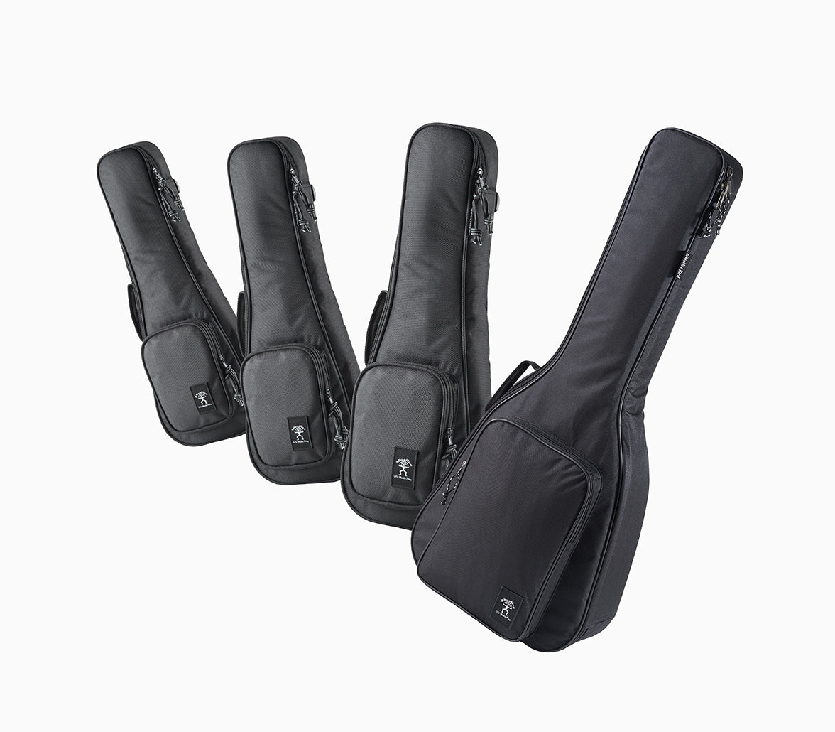 aNueNue Standard Gigbag