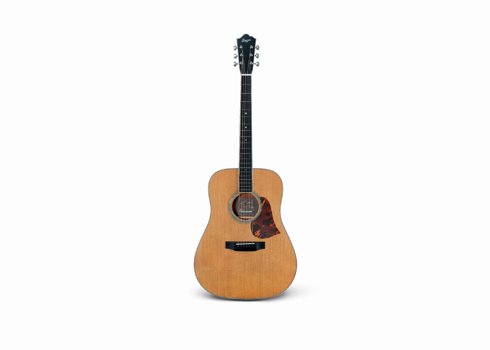 Singer Imagine D05 Dreadnought Acoustic Guitar