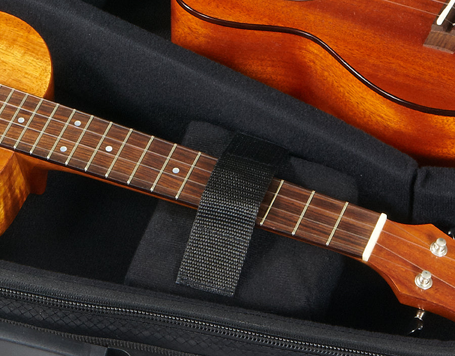 aNueNue Deluxe Double Gigbag