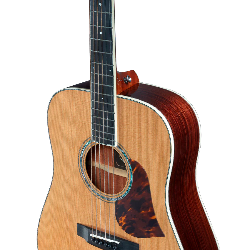 Singer Imagine D05 Dreadnought Acoustic Guitar