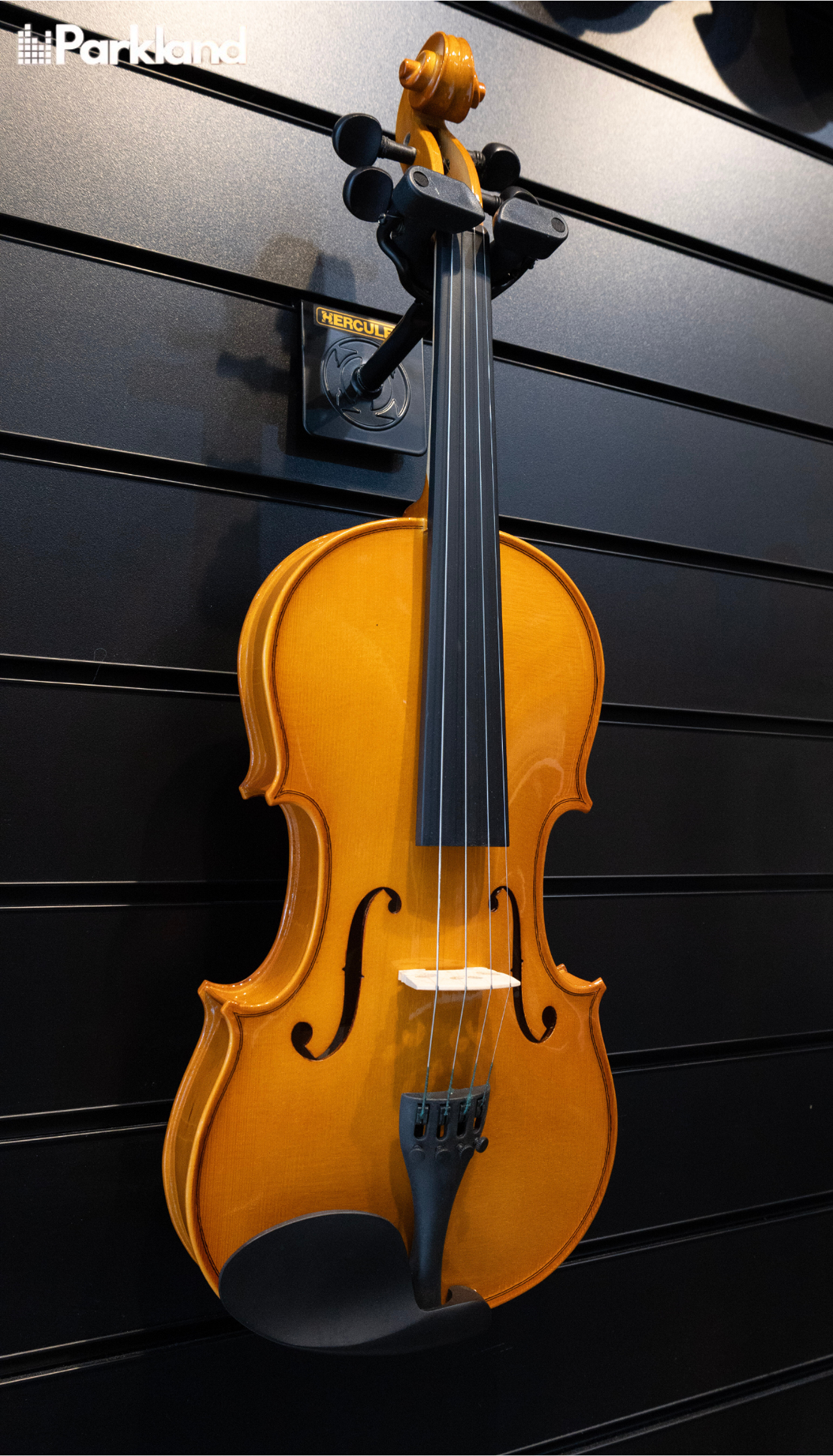 Tonekobo Fioretta 100 | Violin