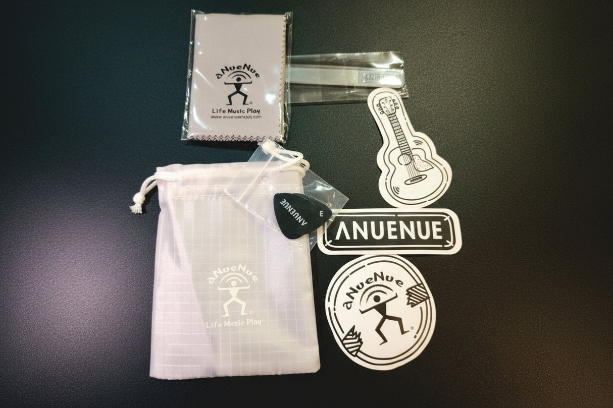 aNueNue AP | Accessories Pouch