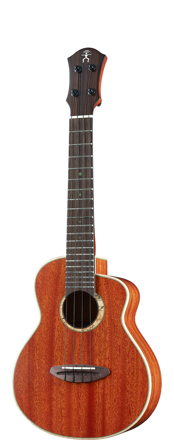 aNueNue South American Mahogany Bird 110