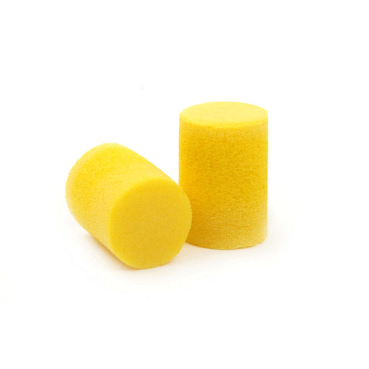 D'Addario Foam Ear plugs PWEP1