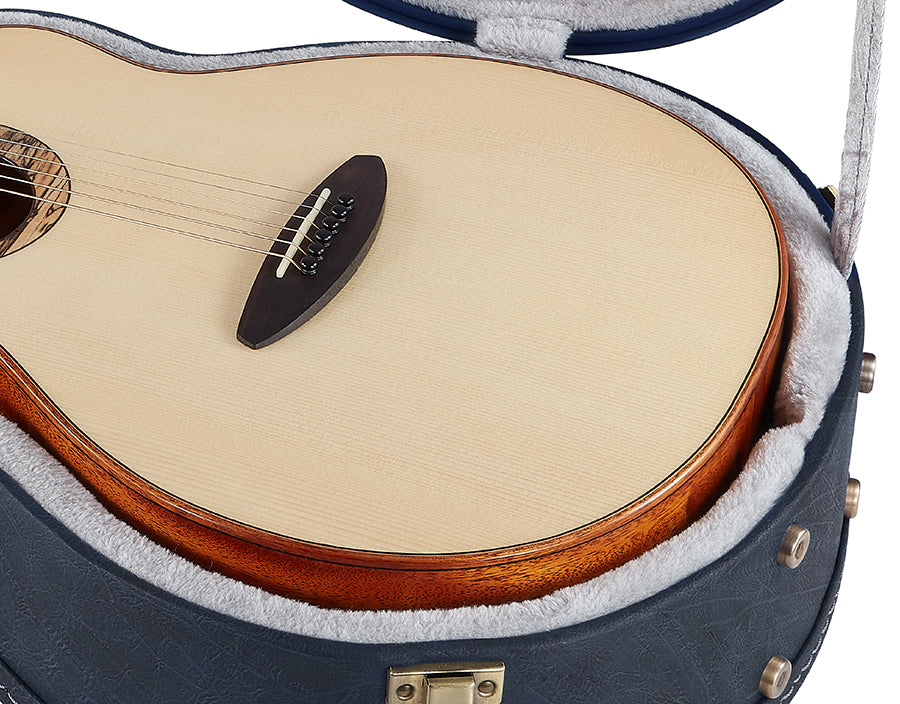 aNueNue Blue Hardshell Guitar Case