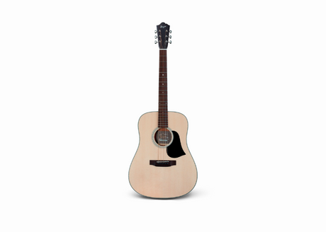 Singer D03 Series Dreadnought Acoustic Guitar