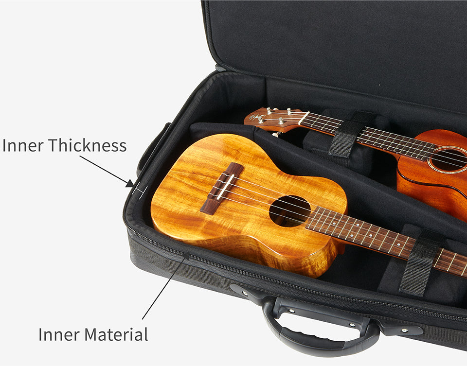 aNueNue Deluxe Double Gigbag