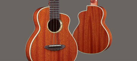 aNueNue South American Mahogany Bird 110
