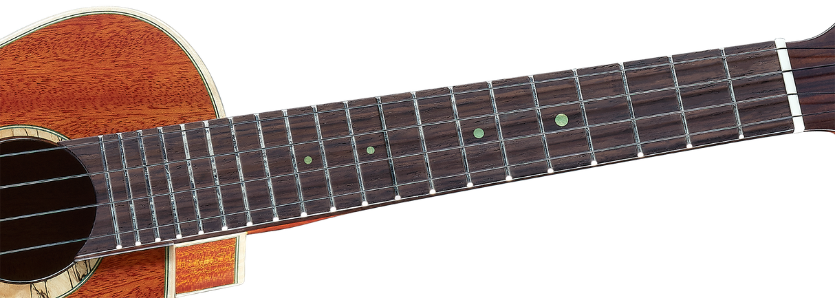 aNueNue South American Mahogany Bird 110