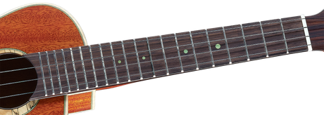 aNueNue South American Mahogany Bird 110