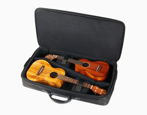 aNueNue Deluxe Double Gigbag