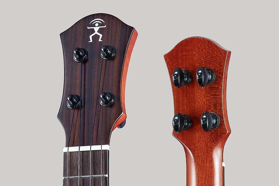 aNueNue South American Mahogany Bird 110