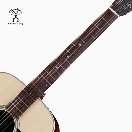 Singer D03 Series Dreadnought Acoustic Guitar