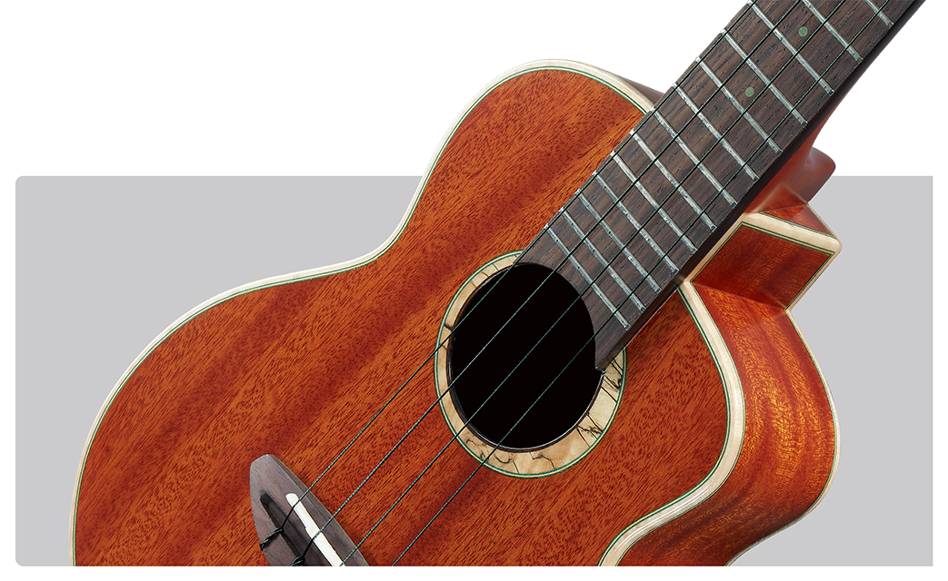 aNueNue Green Planet Ukulele Strings