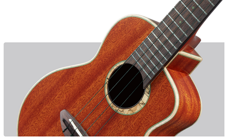 aNueNue Green Planet Ukulele Strings