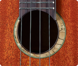 aNueNue South American Mahogany Bird 110