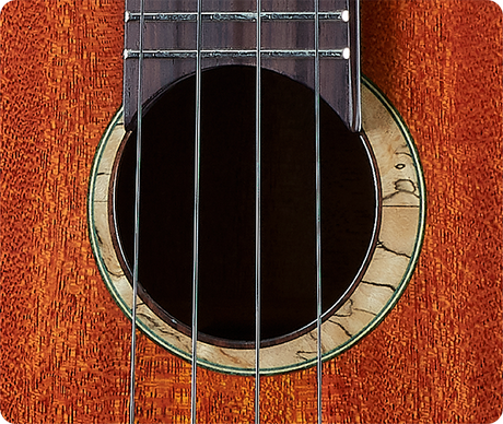 aNueNue South American Mahogany Bird 110