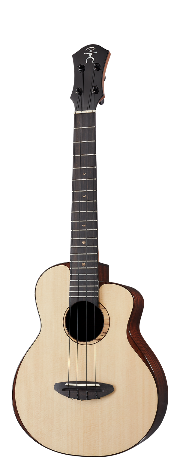 aNueNue Moon Spruce & Rosewood 200 Moon Bird