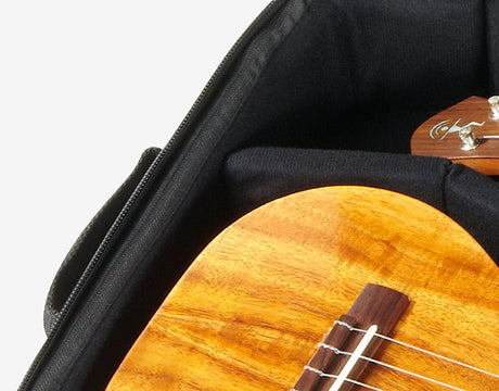 aNueNue Deluxe Double Gigbag