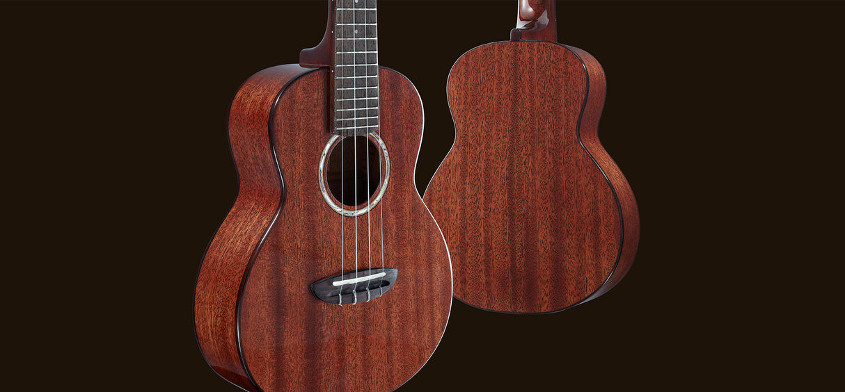 aNueNue African Mahogany Series AMM3 | Tenor Ukulele