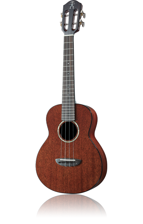 aNueNue African Mahogany Series AMM3 | Tenor Ukulele