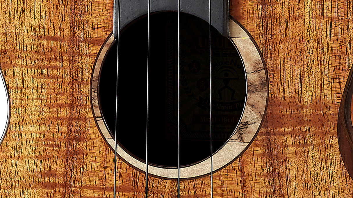 aNueNue All Solid Hawaiian Koa UT3K | Tenor Ukulele