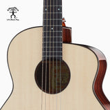 aNueNue LF28 Acoustic Guitar