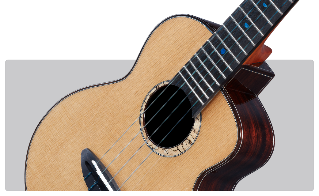 aNueNue Blue Moon Ukulele Strings