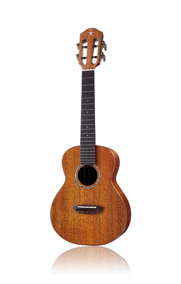 aNueNue AKK Hawaiian Koa Series AKK2 | Concert Ukulele