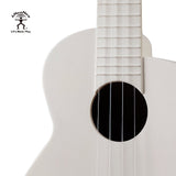 aNueNue Lyra Hybrid | Concert Ukulele