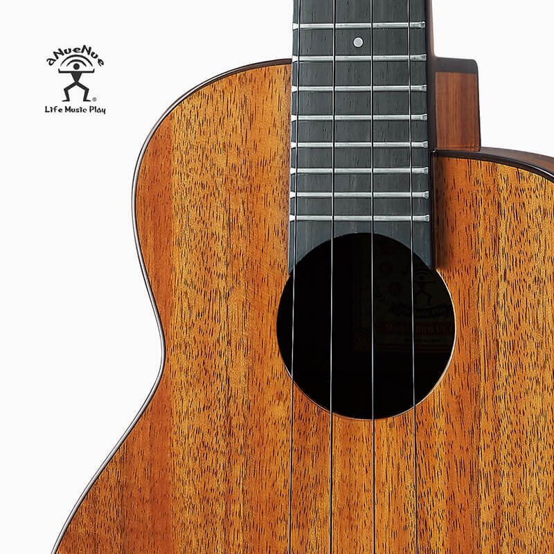 aNueNue Black Water Ukulele Strings