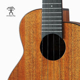 aNueNue Black Water Ukulele Strings