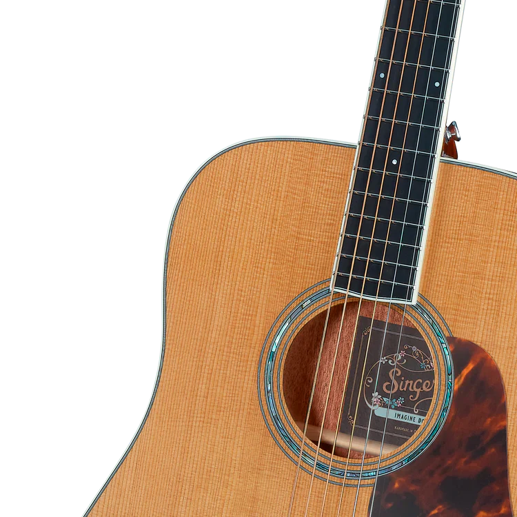 Singer Imagine D05 Dreadnought Acoustic Guitar