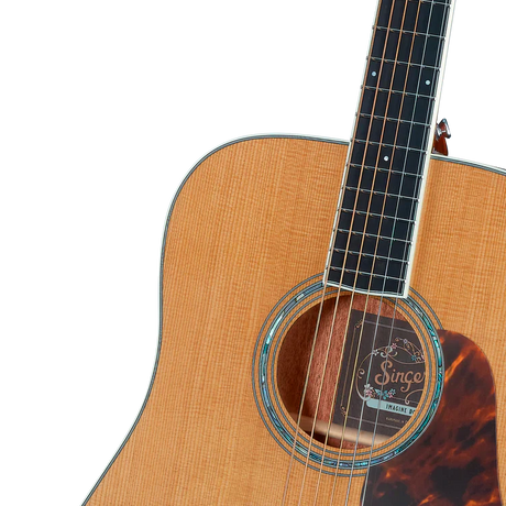 Singer Imagine D05 Dreadnought Acoustic Guitar