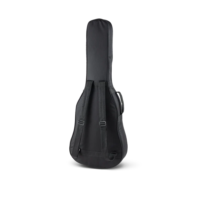 Singer 01 Series Parlor Acoustic Guitar