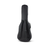 Singer 01 Series Parlor Acoustic Guitar