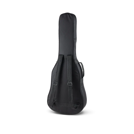 Singer 01 Series Parlor Acoustic Guitar