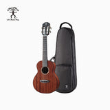 aNueNue African Mahogany Series AMM2 | Concert Ukulele