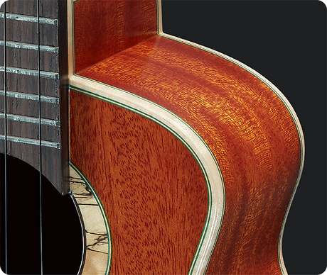 aNueNue South American Mahogany Bird 110