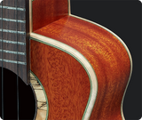 aNueNue South American Mahogany Bird 110