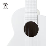 aNueNue Lyra Hybrid | Concert Ukulele