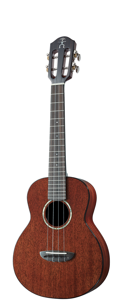 aNueNue African Mahogany Series AMM2 | Concert Ukulele