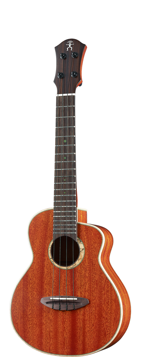 aNueNue South American Mahogany Bird 110