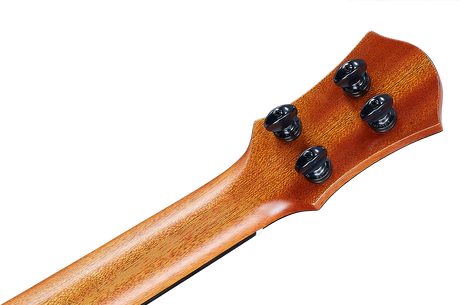 aNueNue Torrefied Moon Spruce & Rosewood Bird UT330