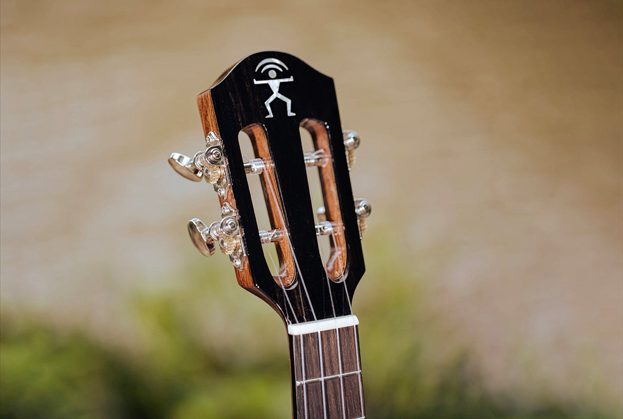 aNueNue African Mahogany Series AMM3 | Tenor Ukulele