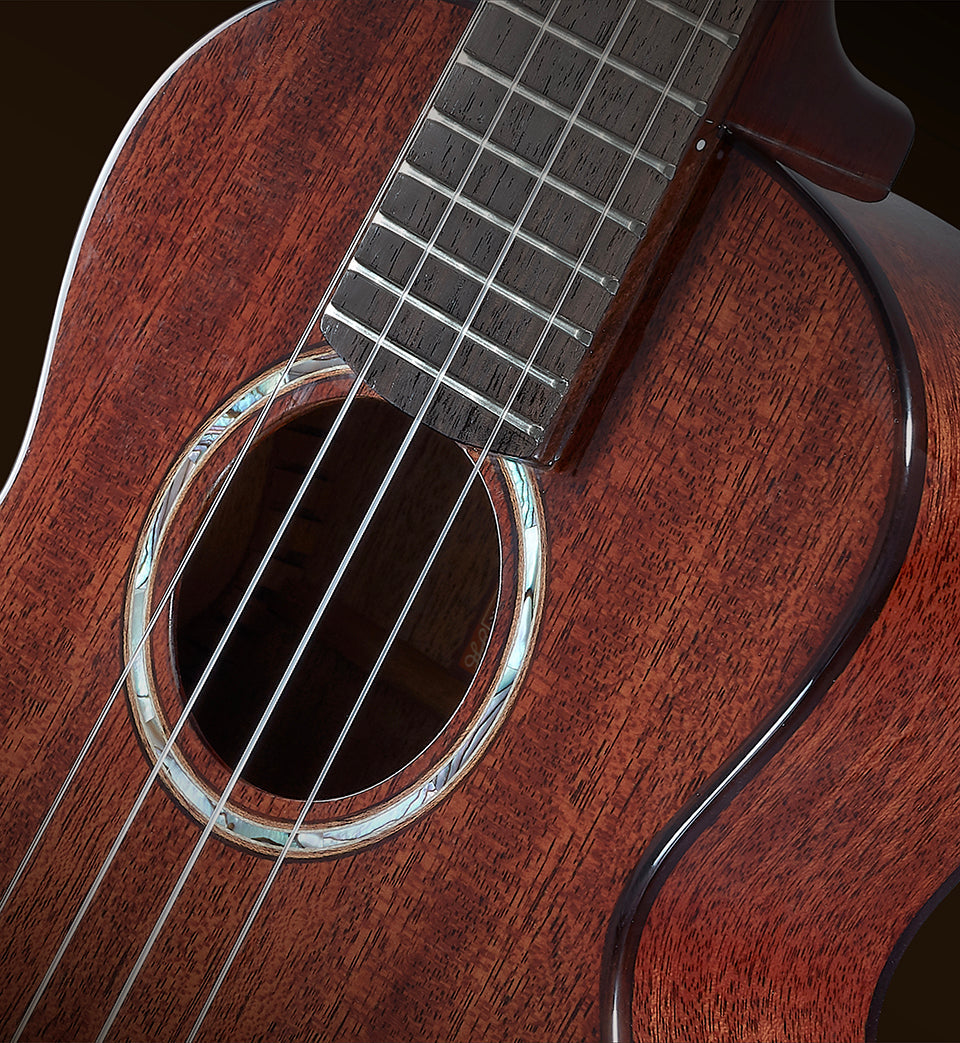 aNueNue African Mahogany Series AMM2 | Concert Ukulele