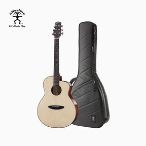 aNueNue LF28 Acoustic Guitar