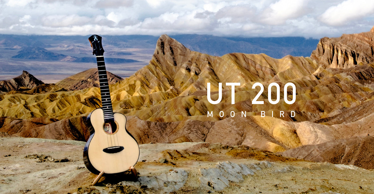 aNueNue Moon Spruce & Rosewood 200 Moon Bird