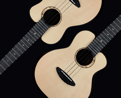 aNueNue Moon Spruce & Rosewood 200 Moon Bird